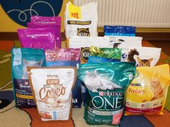 Zbiórka karmy z okazji Dnia Kota 2019