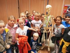 Dolnośląski Festiwal Nauki