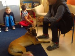 Wizyta niezwykłych gości w klasach 1d, 1e, 1f