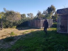 Miłocice - 12.10.2019