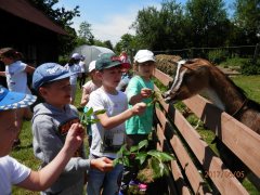 Wycieczka do gospodarstwa ekologicznego EkoStyl Ia i Ic