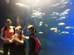 Klasa 5e na zajęciach w ZOO