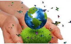 Program edukacji ekologicznej – styczeń/marzec 2020 