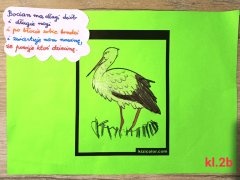 Dzień bociana białego