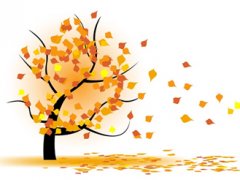 Jesienne akcje - Posadź drzewko dla pokoju oraz Zakwitniemy na wiosnę