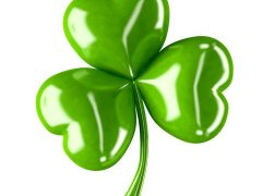 Karolina Bartyna - laureatka konkursu powiatowego na prezentację PowerPoint 