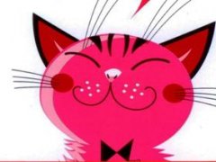 Zakończyliśmy zbiórkę karmy dla kotów